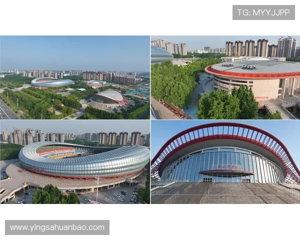 华体会体育网娱乐app常见问题解决方案及用户反馈优化建议全方位解析